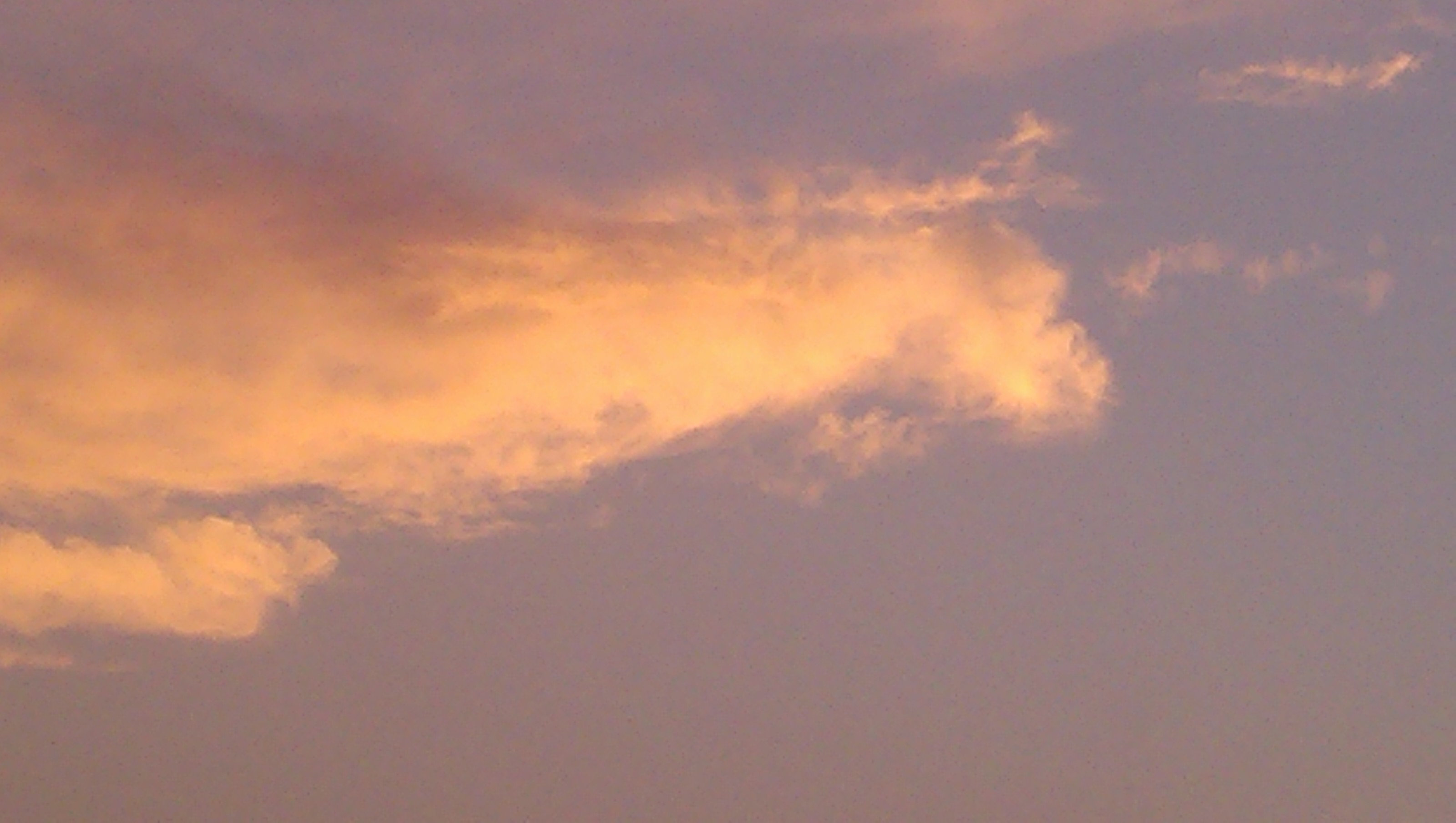 夕阳西下,千军万马之中,小米1s一马当先.小米加