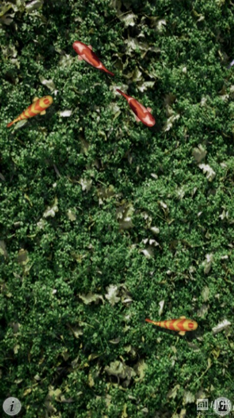 安卓原生动态水面落叶壁纸和鱼池屏保分享(附