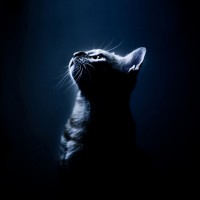 【小米MIX 2主板元器件壁纸】全面屏2.0 主板