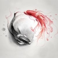 【第一台折叠双屏手机】中兴AXON M 内置壁