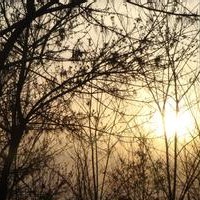 小米5sMIUI9刷机包