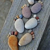 【小米运动App升级2.4.2,手环可以在蚂蚁森林