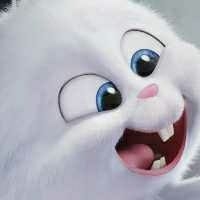 迎小米MIX 2S发布 | 全面屏18:9壁纸来一波,快