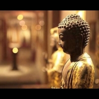 小米电视3s 55寸固件1.3.28d HDMI闪屏黑屏bu