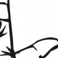 求救,小米音箱连上电脑但播放没有声音