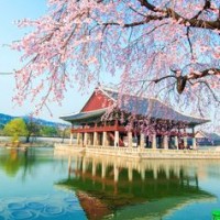 小米6音量键 电源键失灵,现在开不了机了,也关