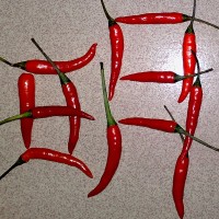 小米 note3 异常发热后无法开机 换主板后不到