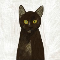 搬运,小米5可用谷歌相机资源(看心情更)