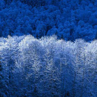 小米5上周更新了之后APP安装完不在桌面上显