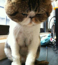 检测 小米电视屏幕有无【漏光、亮点、坏点】