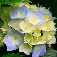 申精 小米笔记本13.3 开机风扇狂转解决办法