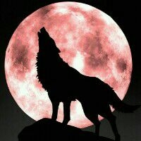 小米2手机内存不足,咋办啊!