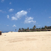 我想加盟小米手机,开个小米手机专卖店,不知怎