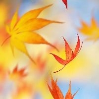 在小米商城买的手机选的是分期付款,可是却一