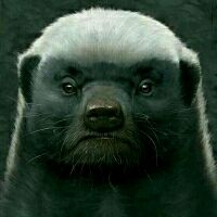 黑背景灯泡壁纸-OLED屏速来