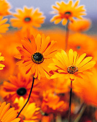 小米盒子升级1.3.20后无法启动电视和关机后电