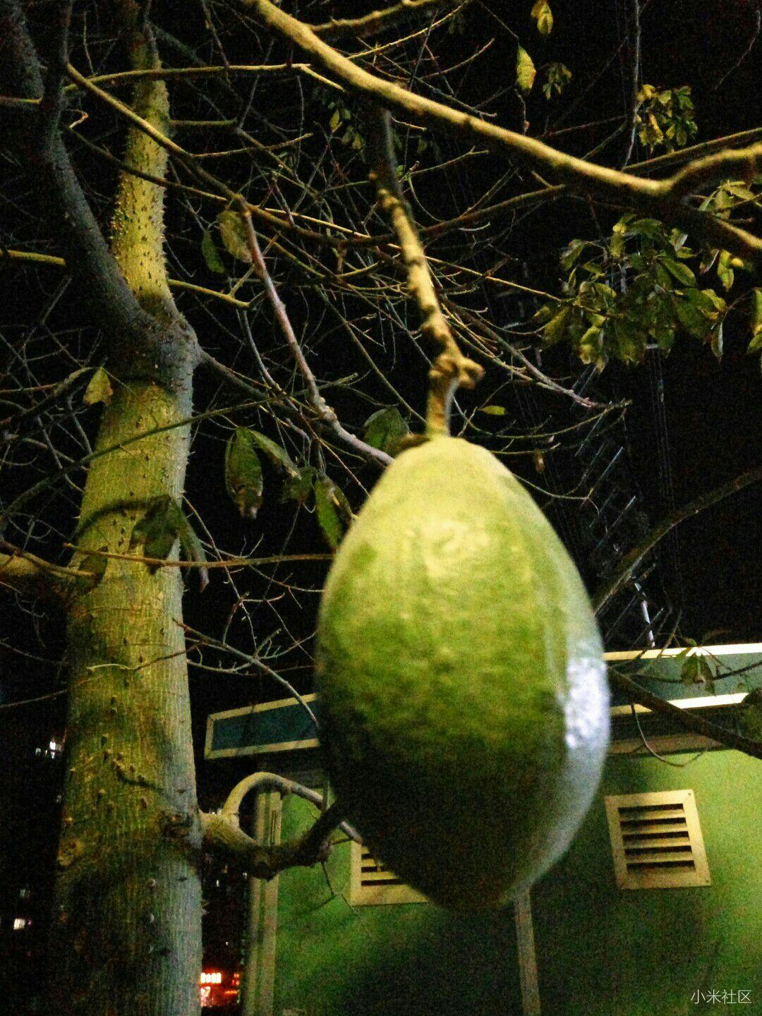 小米5s:超感不止是快门,还有一路上的风景