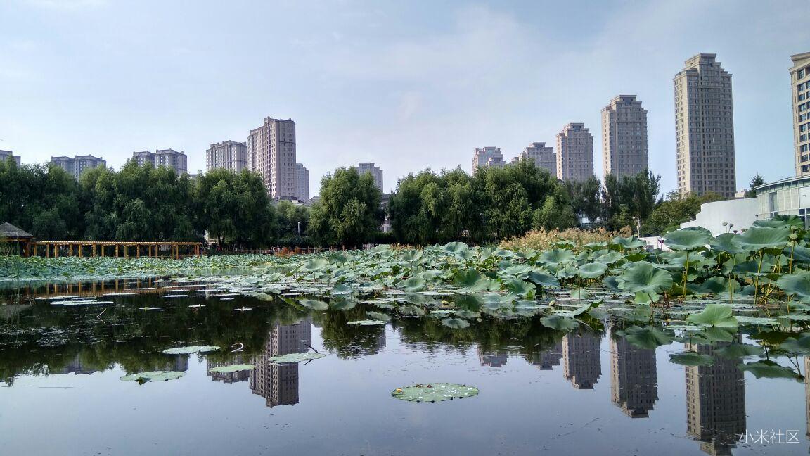 哈尔滨雨阳公园