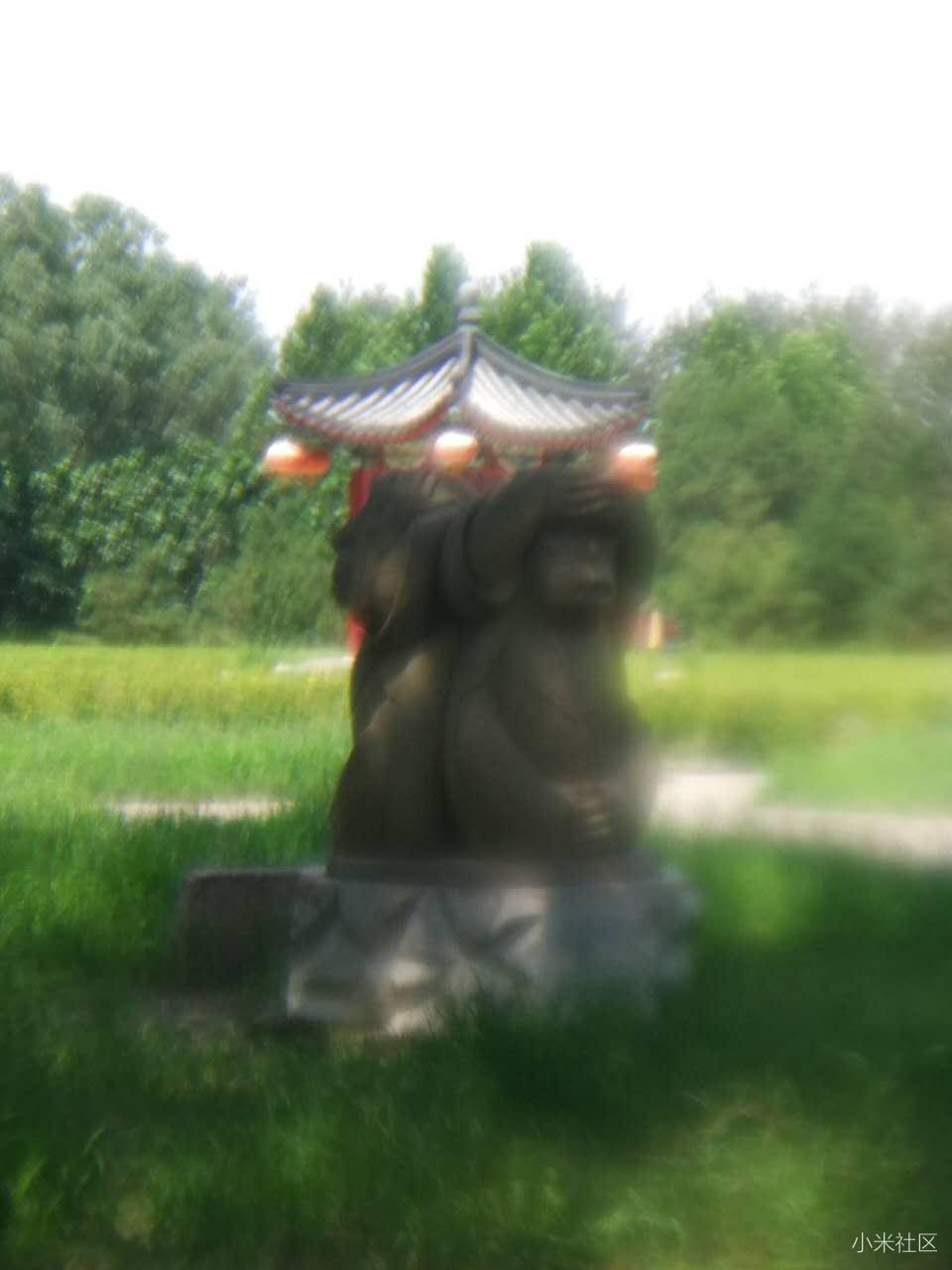 小米5手机为什么更新版本后手机照相模糊,请大