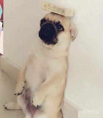 关于小米3 55寸分体电视不能实现HDMI回传功