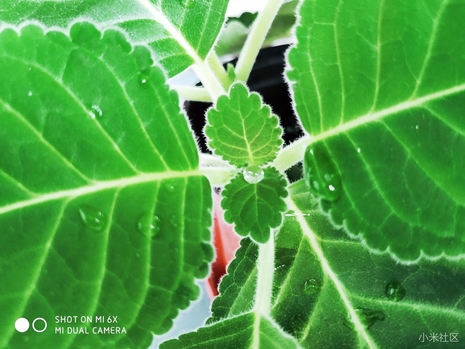 小米6X丨千元冰川蓝少年归来