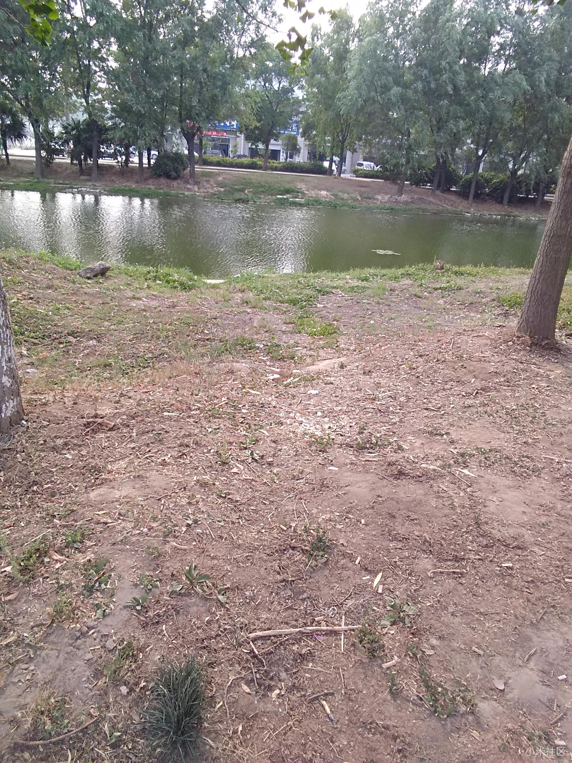 我买了小米MAX2非常辣鸡