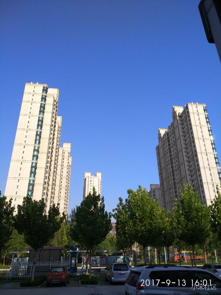 小米Max2拍照效果