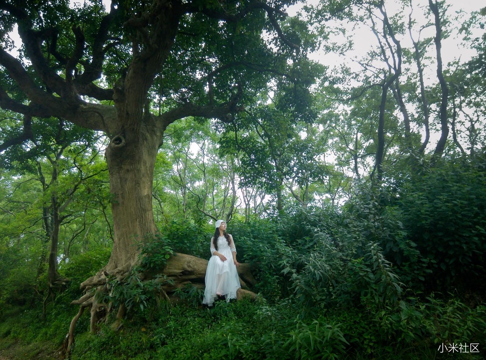 「小米5s 超感光」手机摄影大赛 优秀作品选(1