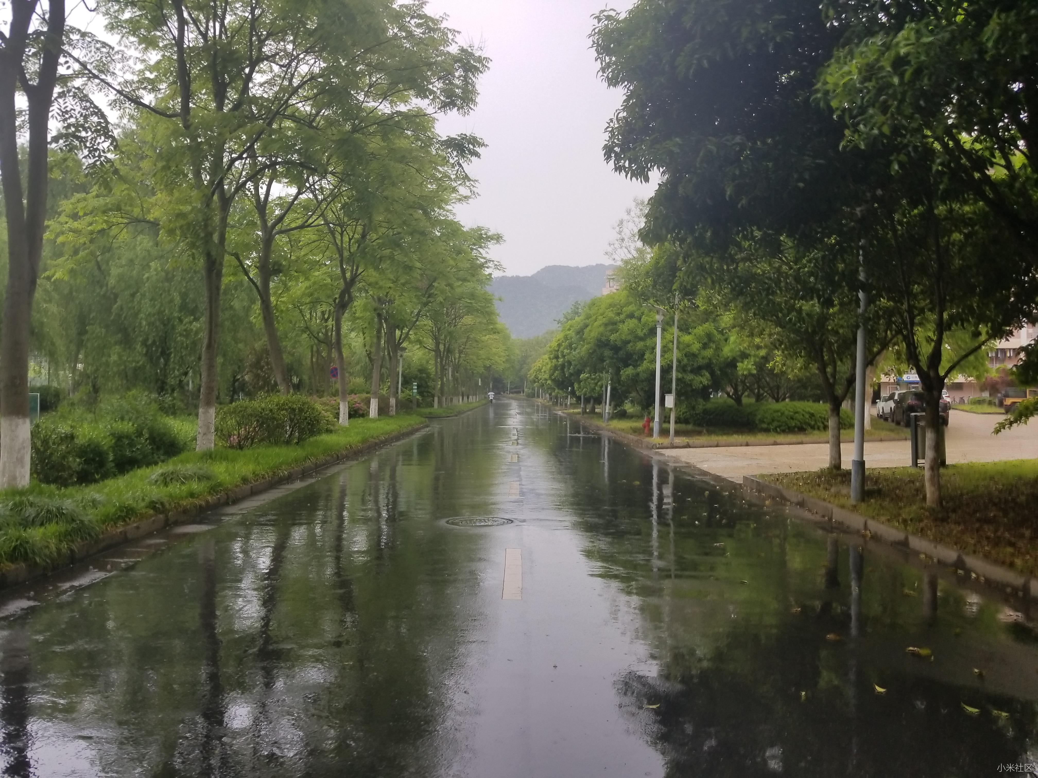 【浙农林周聊】恭祝杭州第七个小米之家-江干
