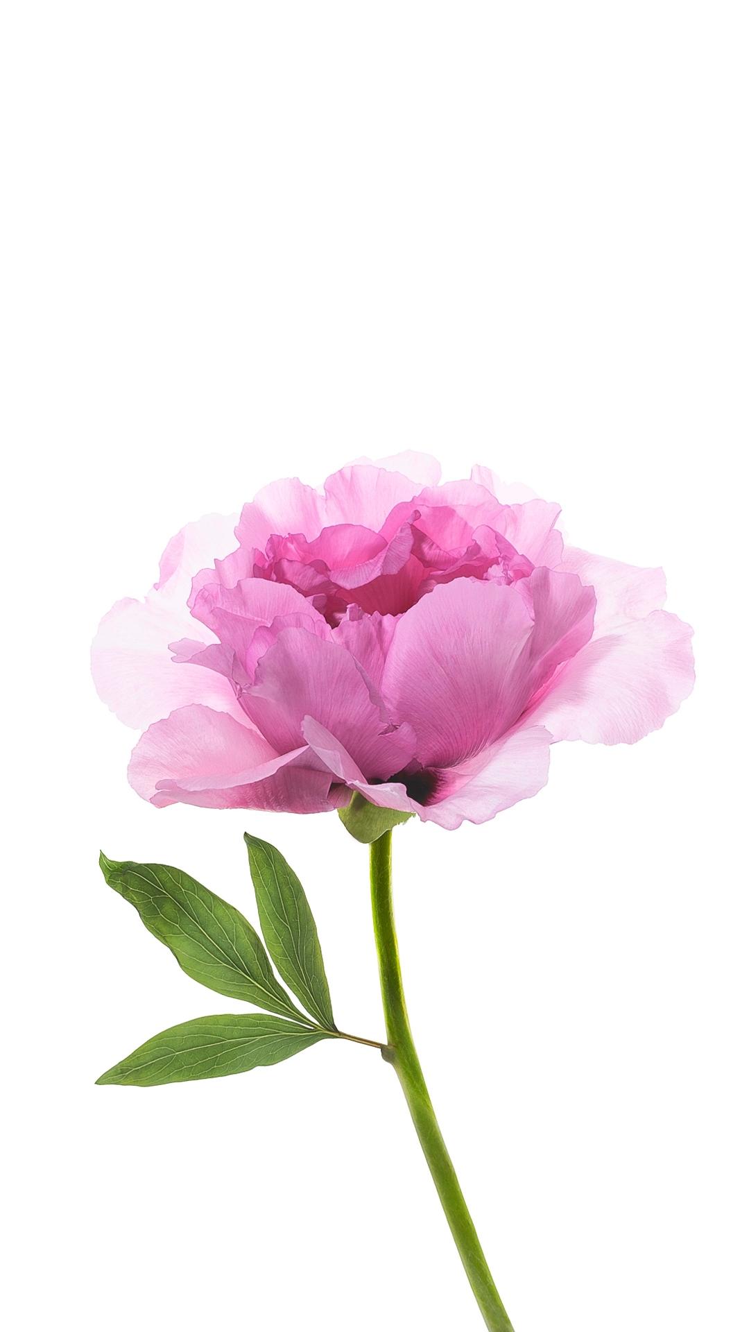 MIUI8新壁纸和吹上天的小米兰亭字体