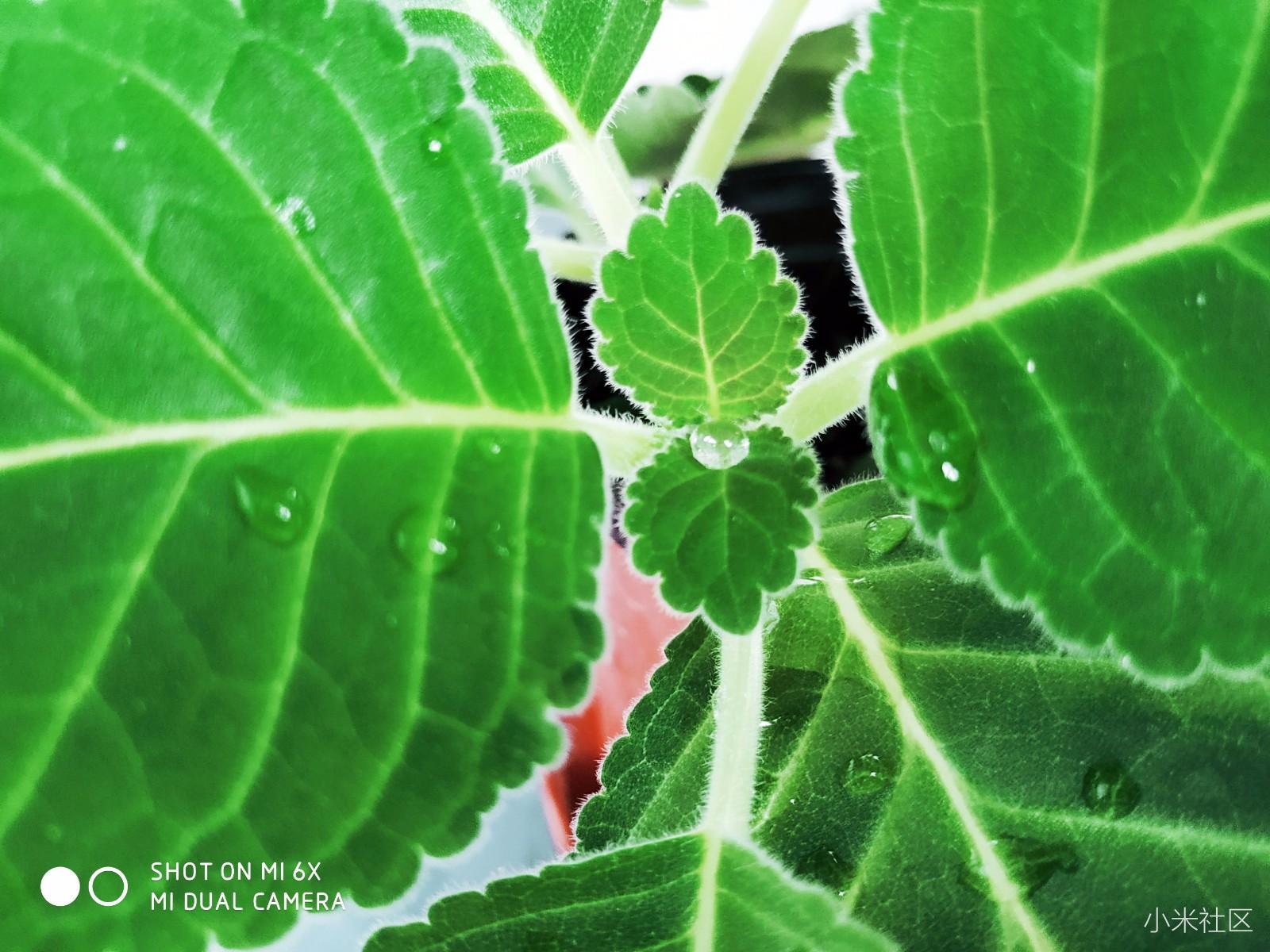 小米6X丨千元冰川蓝少年归来