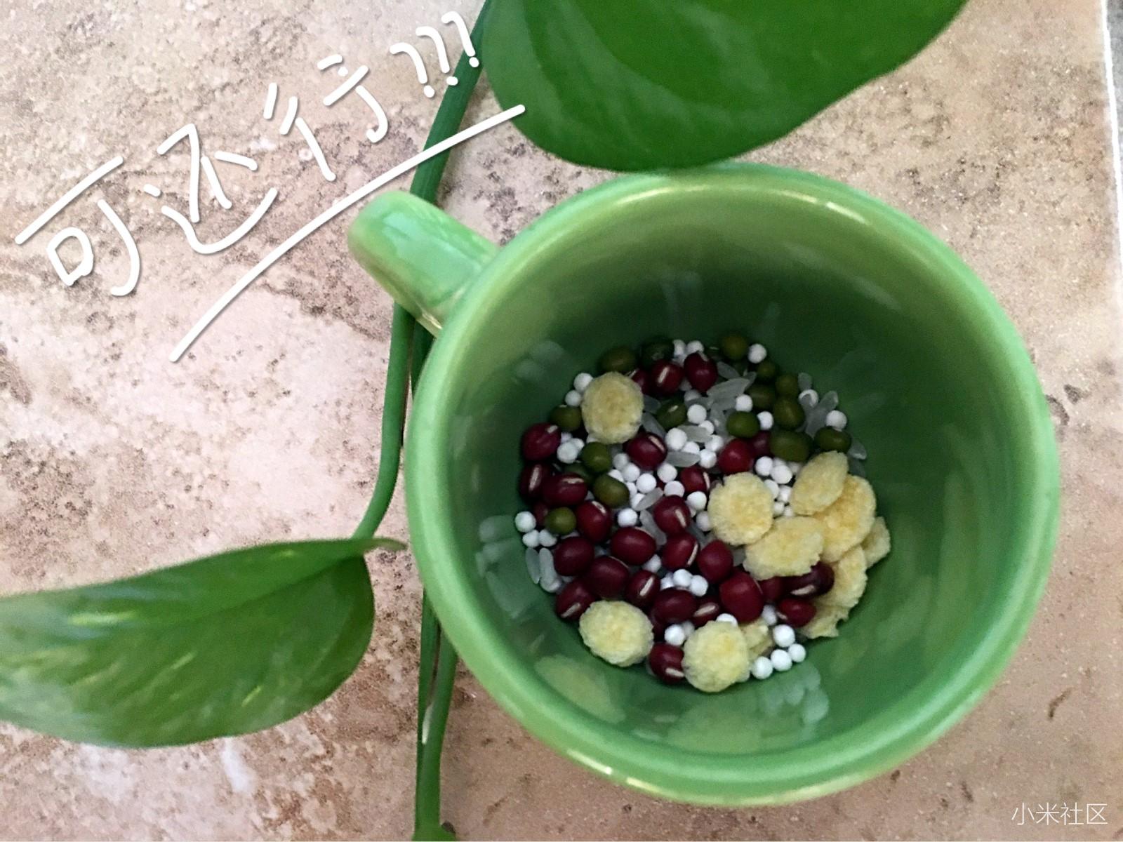 代」解放双手,它到底行不行?米家扫地机器人测