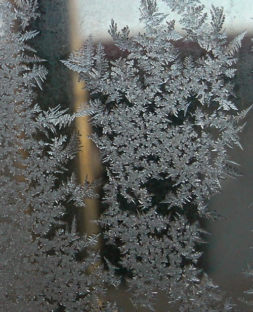 冰霜留下的美丽【小米微距】